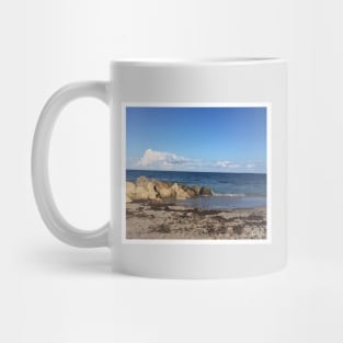 Daytona Beach View Mug